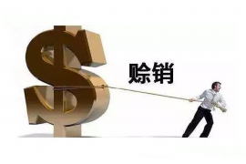 大化工资清欠服务